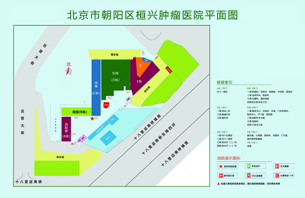 男生的鸡鸡操女生的阴道黄色视频网站北京市朝阳区桓兴肿瘤医院平面图